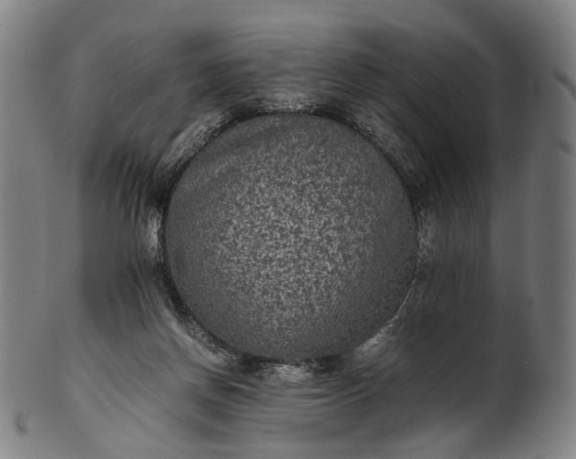 X0000101220166200807111105