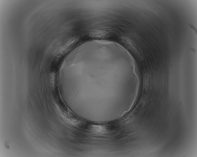 X0000101220167200807111105