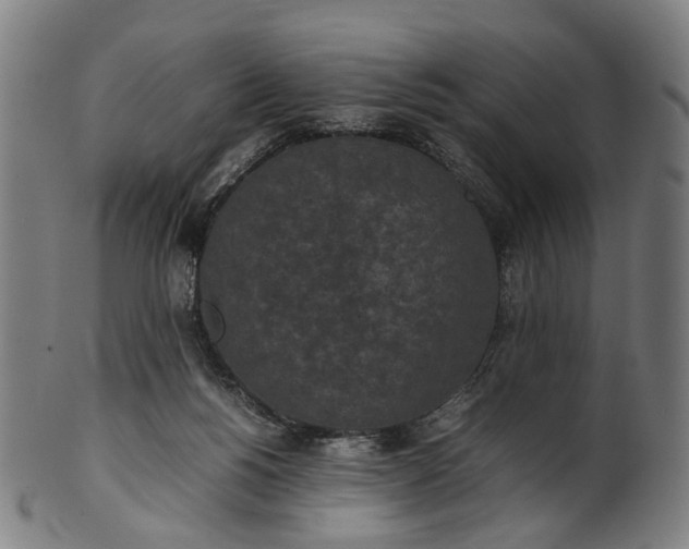 X0000101220168200807111105