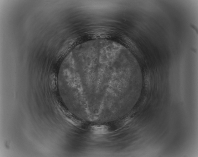 X0000101220169200807111105