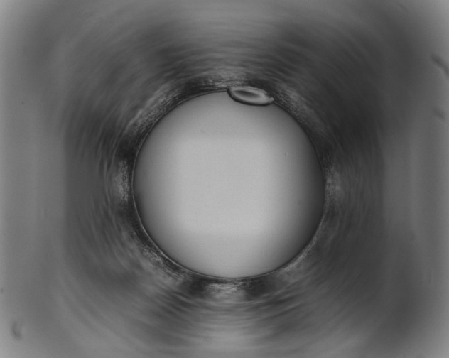 X0000101220170200807111105
