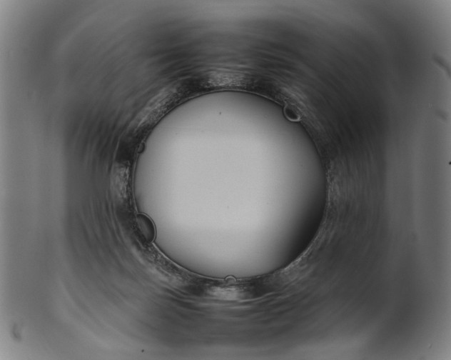 X0000101220171200807111105