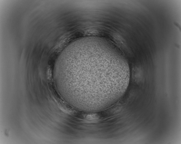 X0000101220173200807111105