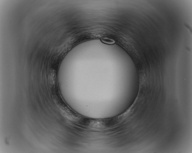 X0000101220174200807111105