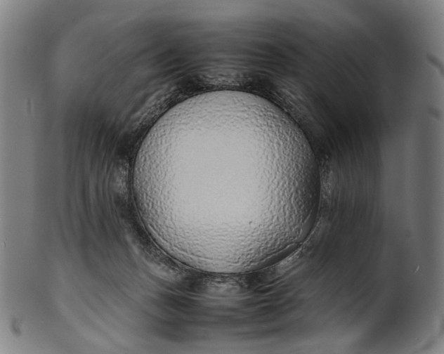 X0000101220175200807111105