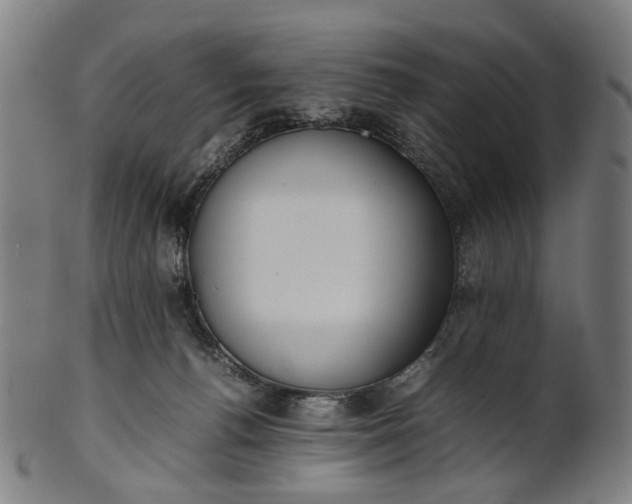 X0000101220176200807111105