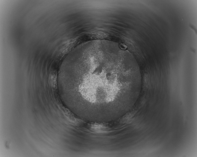 X0000101220177200807111105