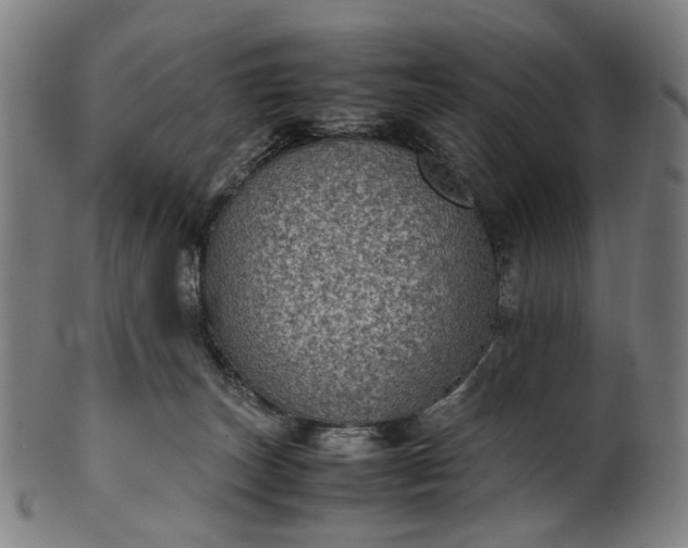 X0000101220179200807111105