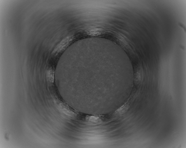 X0000101220180200807111105