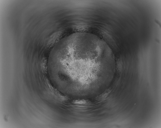 X0000101220181200807111105
