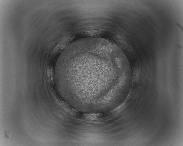 X0000101220182200807111105