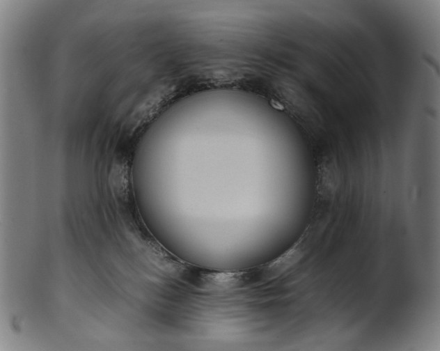 X0000101220184200807111105