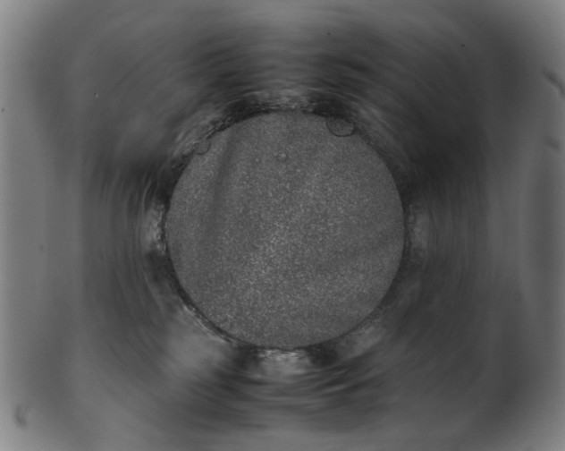 X0000101220185200807111105