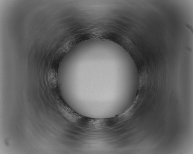 X0000101220186200807111105