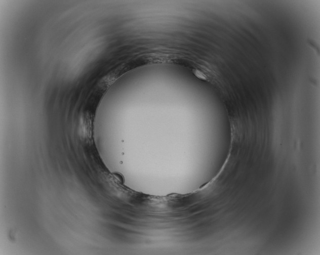 X0000101220190200807111105