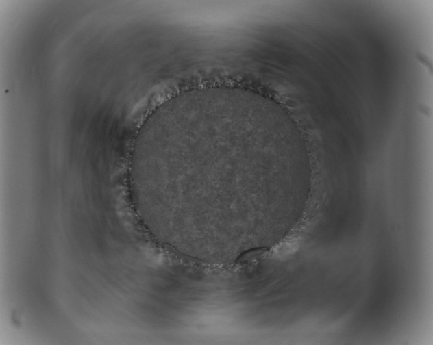 X0000101220192200807111105