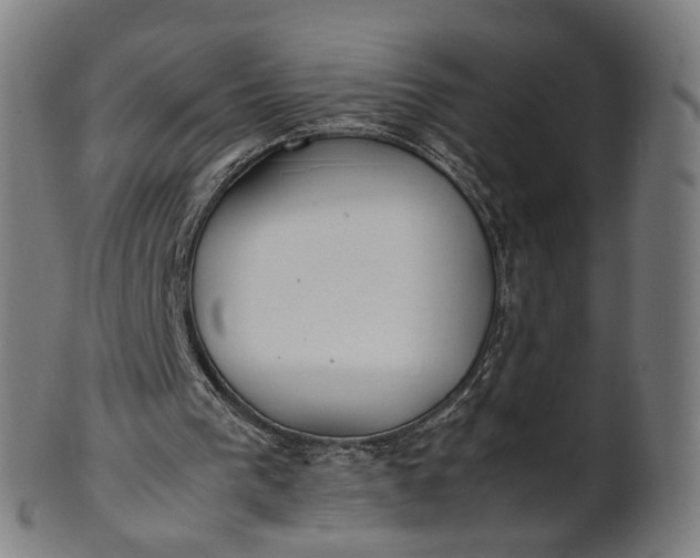 X0000101220193200807111105