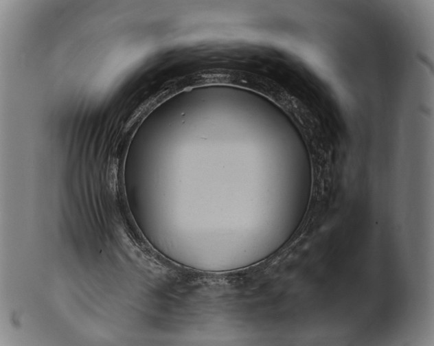X0000101220194200807111105