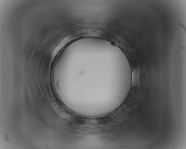 X0000101220195200807111105