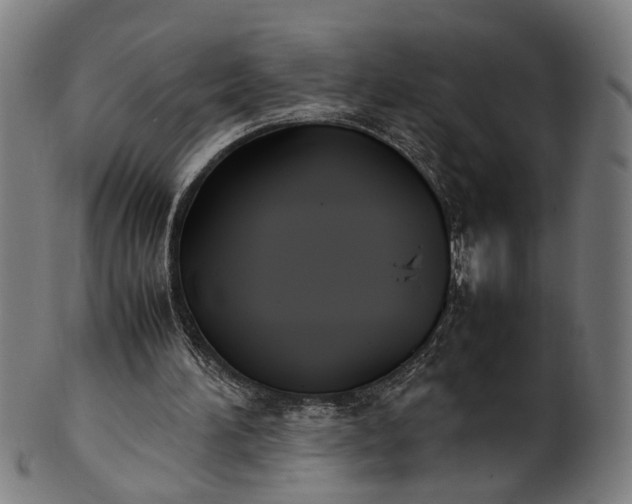 X0000101220196200807111104