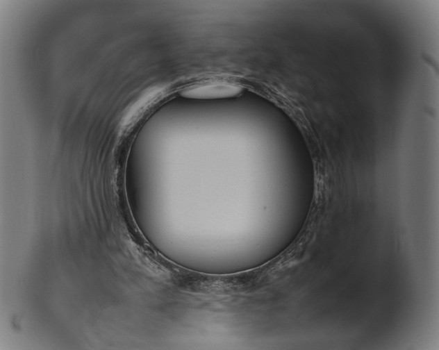 X0000101220197200807111104