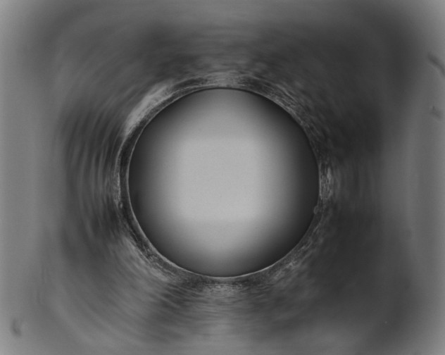 X0000101220198200807111104