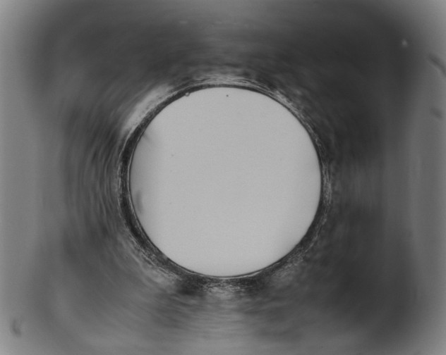 X0000101220199200807111104