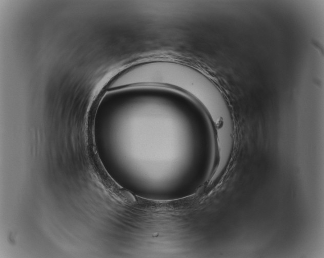 X0000101220200200807111104