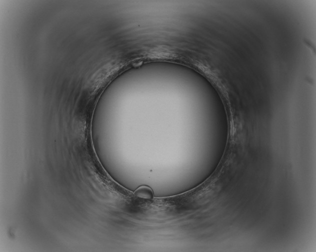 X0000101220201200807111104