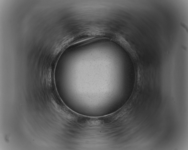 X0000101220202200807111104