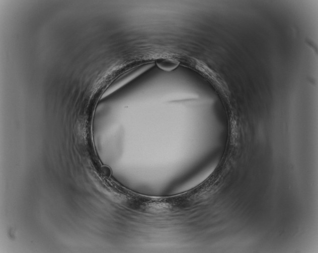 X0000101220203200807111104