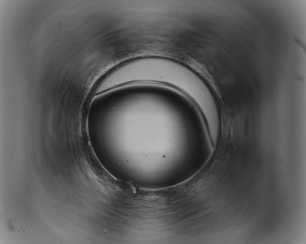 X0000101220204200807111104