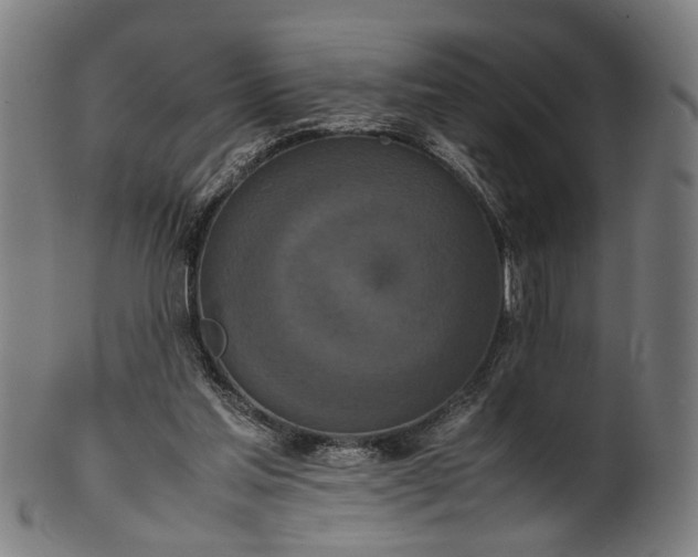 X0000101220205200807111104