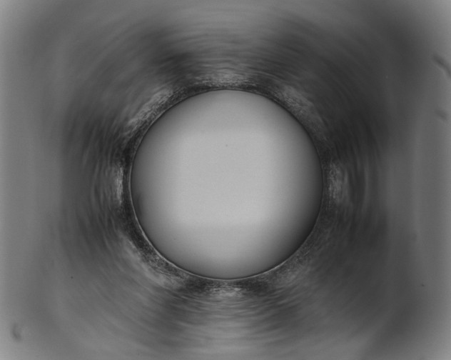 X0000101220206200807111104