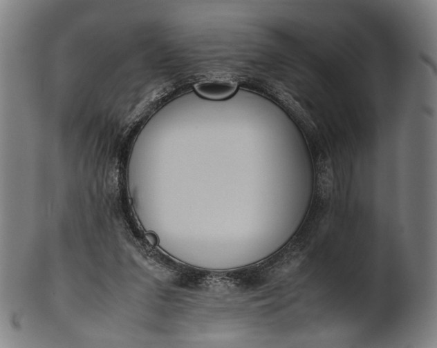 X0000101220207200807111104