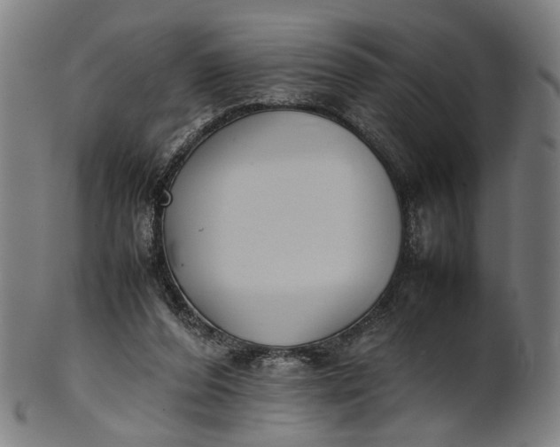 X0000101220208200807111104