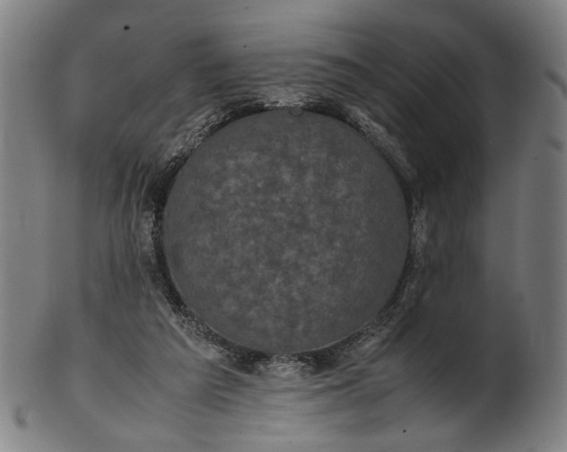 X0000101220209200807111104