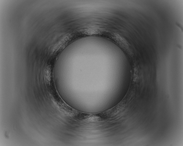 X0000101220210200807111104