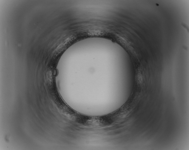 X0000101220211200807111104