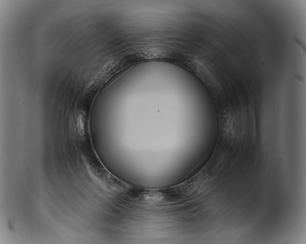 X0000101220214200807111104