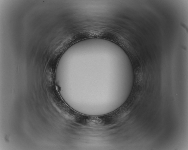 X0000101220215200807111104