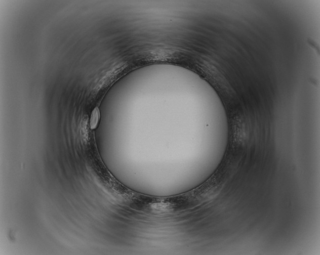 X0000101220216200807111104