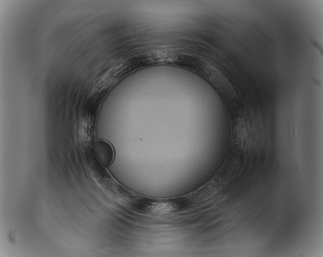 X0000101220218200807111104