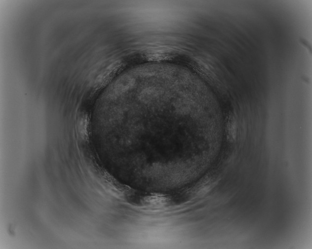 X0000101220219200807111104