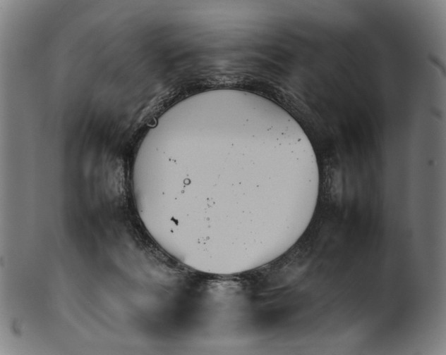 X0000101220220200807111104