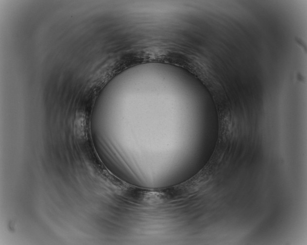 X0000101220222200807111104