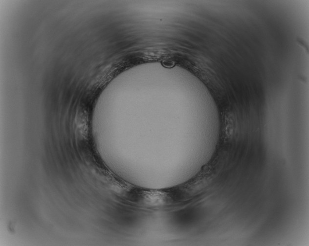 X0000101220226200807111104
