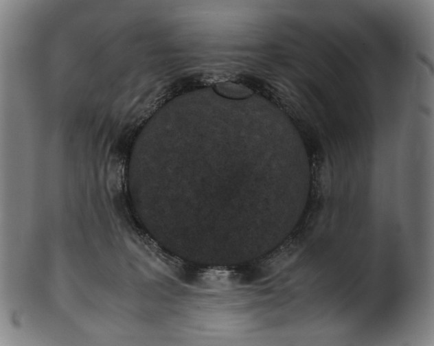 X0000101220227200807111104
