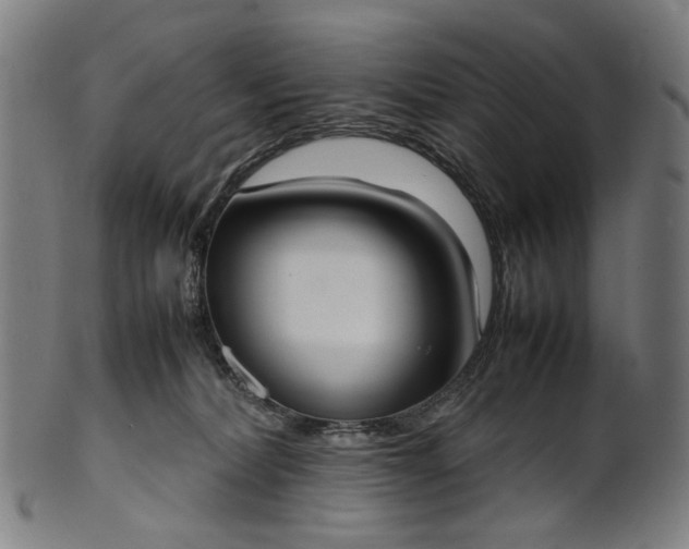X0000101220228200807111104