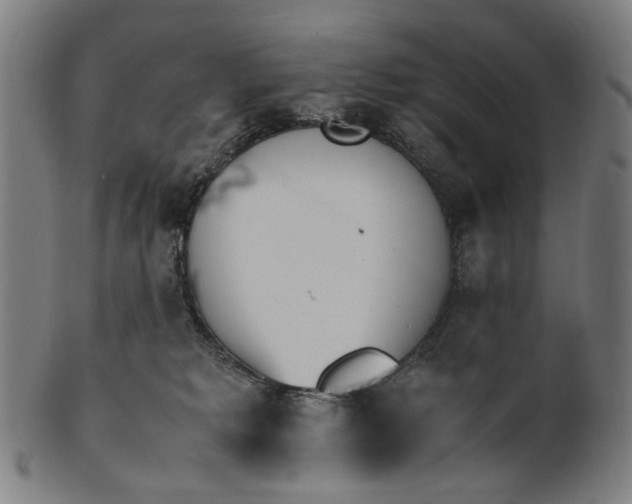 X0000101220229200807111104